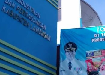 Lamongan Ternyata Punya Banyak Produk Unggulan Asli yang Tembus di Tingkat Nasional Hingga Internasional