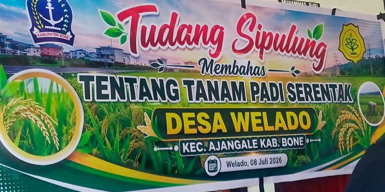Tudang Sipulung Desa Welado Sebuah Kearifan lokal Masyarakat Bugis Di Kabupaten Bone, Sulawesi Selatan