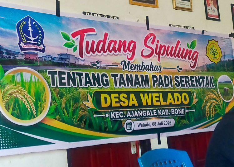 Tudang Sipulung Desa Welado Sebuah Kearifan lokal Masyarakat Bugis Di Kabupaten Bone, Sulawesi Selatan