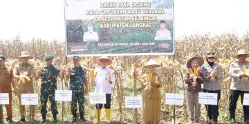 Wakapolres Langkat Hadiri Panen Raya Jagung Bersama Gapoktan Maju Bersama di Sei Bingai