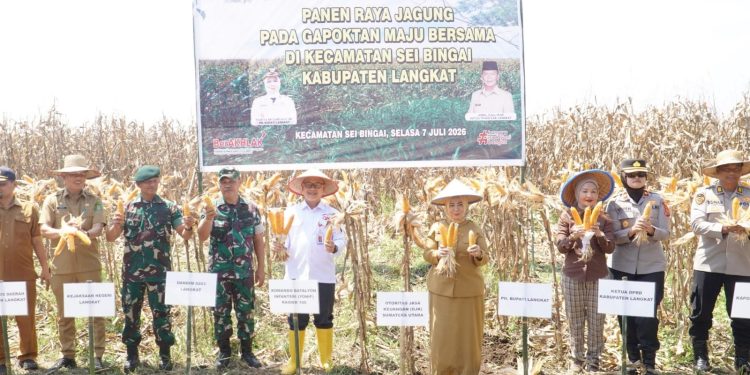 Wakapolres Langkat Hadiri Panen Raya Jagung Bersama Gapoktan Maju Bersama di Sei Bingai