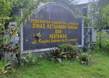 Permainan Pembagian COMBI (Mesin Panen Padi)di Dinas Pertanian Lamongan