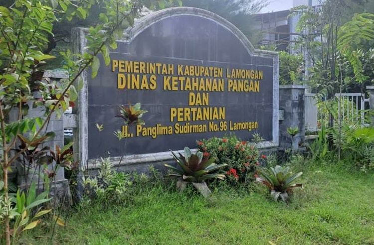 Permainan Pembagian COMBI (Mesin Panen Padi)di Dinas Pertanian Lamongan