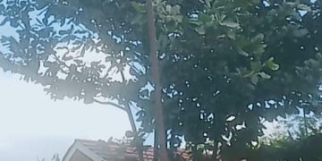 Diduga Bendera Merah Putih di Kantor Kepala Desa Teluk Jaya Sobek, Dinilai Tidak Sesuai Ketentuan