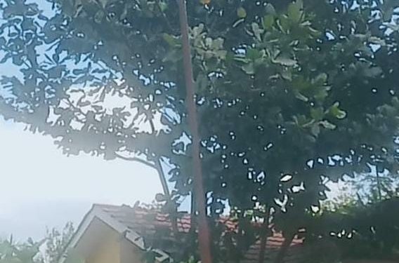 Diduga Bendera Merah Putih di Kantor Kepala Desa Teluk Jaya Sobek, Dinilai Tidak Sesuai Ketentuan