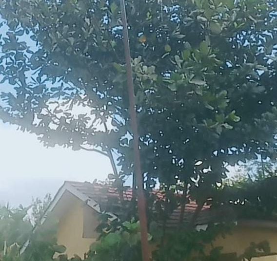 Diduga Bendera Merah Putih di Kantor Kepala Desa Teluk Jaya Sobek, Dinilai Tidak Sesuai Ketentuan