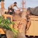Pohon Tumbang Timpa Truk di Desa Pematang tengah, Polisi Bergerak Cepat Evakuasi Lokasi