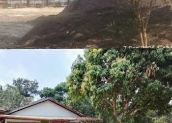 Kapolsek Diduga Terima Setoran Dari Pemilik Gudang Penimbunan CPO Ilegal Di Desa Lembak Bebas Beroperasi Tak Tersentuh Hukum.