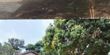 Kapolsek Diduga Terima Setoran Dari Pemilik Gudang Penimbunan CPO Ilegal Di Desa Lembak Bebas Beroperasi Tak Tersentuh Hukum.