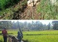 Kinprojamin,”Tangkap,” Inul Mengacak Kelompok tani Dana Bantuan P3A Di Rampok Di Kabupaten Bone