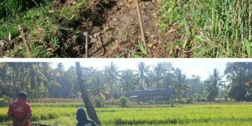 Kinprojamin,”Tangkap,” Inul Mengacak Kelompok tani Dana Bantuan P3A Di Rampok Di Kabupaten Bone