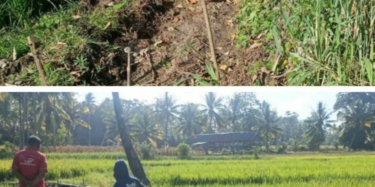 Kinprojamin,”Tangkap,” Inul Mengacak Kelompok tani Dana Bantuan P3A Di Rampok Di Kabupaten Bone