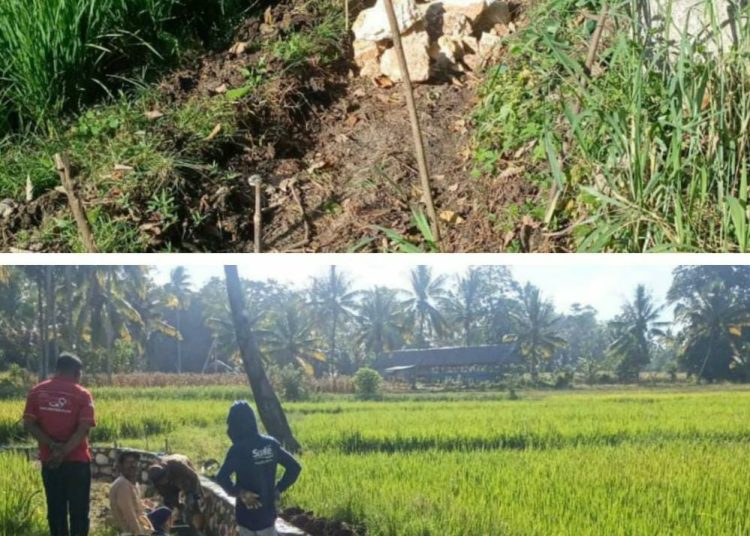 Kinprojamin,”Tangkap,” Inul Mengacak Kelompok tani Dana Bantuan P3A Di Rampok Di Kabupaten Bone