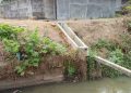Buang Limbah ke Sungai, Mitra PT. SMS Gelumbang Diduga Cemari Lingkungan