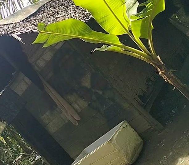 Darurat Narkoba di Kecamatan Hinai, Diminta APH Segera Bertindak Tegas