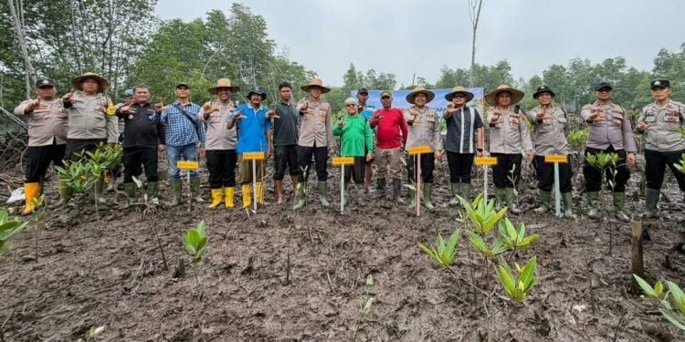 Kapolres Langkat Bersama Masyarakat Tanam Mangrove, Jaga Ekosistem Pesisir dan Dukung Ekonomi Nelayan
