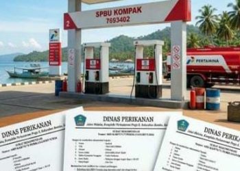 Polemik 30 Jerigen Solar Subsidi di Pelabuhan Bajoe Antara Dugaan Masyarakat dan Sanggahan Pengelola SPBU, Fakta Masih Perlu Diverifikasi